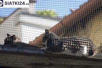 Siatki Świdnik - Siatka na balkony dla kota i zabezpieczenie dzieci dla terenów Świdnika