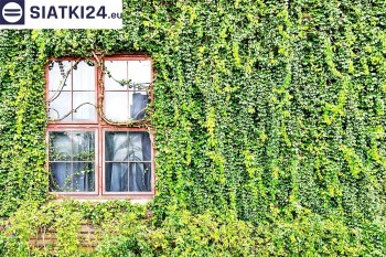 Siatki Świdnik - Siatka z dużym oczkiem - wsparcie dla roślin pnących na altance, domu i garażu dla terenów Świdnika